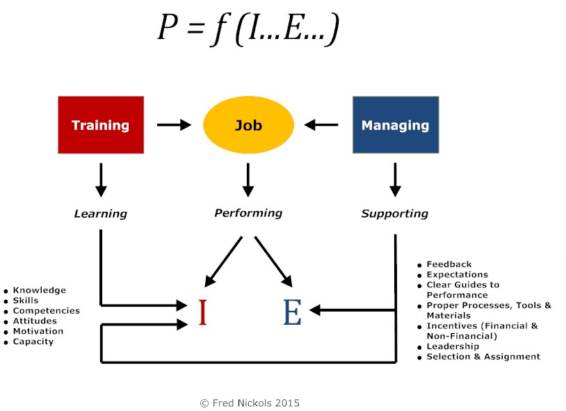 Diagram of Individual and Environmental Factors Affecting Performance