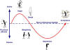 Model of A Natural Change Cycle