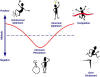 Model of A Positive Change Cycle